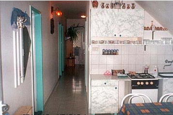 Венгрия Privát Noszvaj, Экстерьер